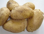 Обеспечение продовольственной безопасности: ООН объявила 2008-ой годом картофеля