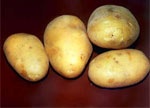 В 2007 году аграрии области увеличили производство картофеля и овощей