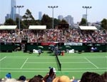 Сформировался список финалистов одиночного разряда теннисного турнира Australian Open