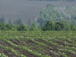 Арсен Аваков: Государство должно защитить аграриев после вступления в ВТО