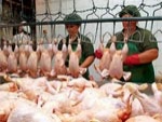 Из-за границы мясо больных птиц в Украину не попадет