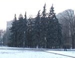 Сегодня в Харькове небольшой снег и солнечно