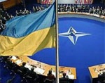 11 украинских партий и общественных организаций написали письмо в НАТО