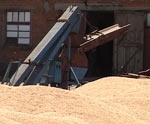 Обладминистрация просит Кабмин отменить квоты на экспорт продовольственного зерна