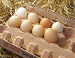 К Пасхе «Укрптицепром» обещает снизить цены на яйца