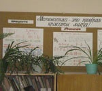 На тестировании в Солоницевской гимназии стенды-подсказки пришлось закрыть горшками с цветами