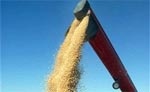 Всемирный банк призывает Украину немедленно и полностью снять ограничения на экспорт зерна