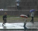 Харьковские синоптики прогнозируют дожди и грозы