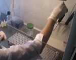 Вакцинация против кори в Харькове может не начаться