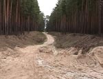 На Харьковщине самовольно захватили лес. Прокуратура возбуждает уголовные дела