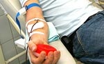 Сегодня - Всемирный день донора крови