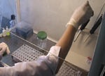 Вакцина БЦЖ поступит в больницы Харьковщины в июле