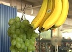 Экзотические фрукты лучше покупать в супермаркетах