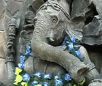19 июля в Харьковском зоопарке будут праздновать день рождения слонихи Тенди