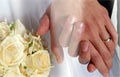 В 2006 году на Харьковщине зарегистрировано более 20 тысяч браков и более 11 тысяч разводов