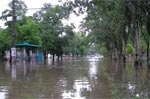 Чиновники обладминистрации решат, как помочь пострадавшим от наводнения районам