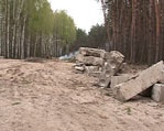 Районные чиновники раздавали змиевской лес
