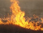 На Харьковщине горит сухая трава