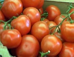 Россиянин пытался вывезти из Украины помидоры, огурцы и груши