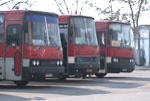 Пополнение коалиции прибыло в Киев на 255 автобусах и 4 поездах