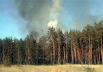 Крупнейший пожар за всю историю Харькова: пылает несколько миллионов квадратных метров изюмского леса