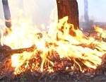 В Изюмском районе начинается эвакуация села, а в горящем лесу слышны взрывы
