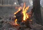 Огнем охвачено уже более 400 гектаров леса. Пожарные самолеты вылетят на место через 4 часа