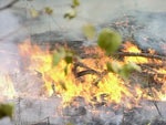В изюмском лесу обнаружено еще одно возгорание