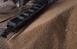 Сельхозпредприятия Харьковщины увеличили реализацию зерновых культур в полтора раза