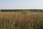 Цены на землю в Харьковской области продолжают расти
