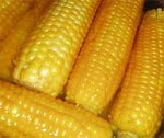 Три района области завершили сбор кукурузы