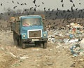На майские праздники областная санэпидемстанция грозится закрыть Дергачевский мусорный полигон