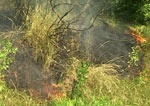 В Харьковской области горела сухая трава