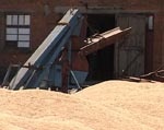 Затраты аграриев на хранение зерна могут частично компенсировать