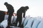 Почти 2 тонны маковой соломки нашли правоохранители посреди чистого поля