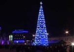 Главная новогодняя елка Слобожанщины зажгла огни