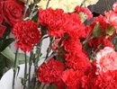 К празднованию Дня Победы готовятся и на цветочных рынках