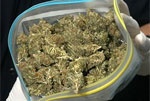 Более 4 кг марихуаны везла женщина, чтобы подзаработать