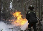 За прошлые сутки спасатели 6 раз выезжали на тушение лесных пожаров