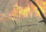 Сезон лесных пожаров открыт. В Печенежском районе сгорело 30 гектаров леса