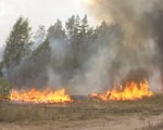 Госкомлесхоз ограничил доступ в леса из-за высокой пожароопасности