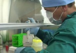 В Харьков привезут свиной грипп. Ученые будут разрабатывать вакцину против смертельной инфекции