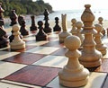 Украинские шахматистки сразятся с россиянками
