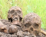 В Волчанском районе найдена братская могила, в которой покоились несколько сотен солдат. Каким было последнее сражение безымянных героев?