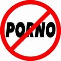 Новый закон о порнографии. Литвин считает, что украинцы могут рассматривать «соответствующие картинки»
