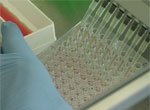 Китайские фармацевты получили первую партию вакцины против гриппа A (H1N1)