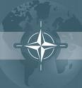 В НАТО считают, что Украина не готова к вступлению в Альянс