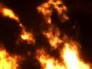 В Первомайском районе сгорело пять тонн сена
