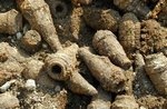 В Червонозаводском районе, копаясь в земле, нашли минометные мины