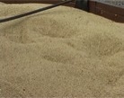 Харьковский аграрии намолотили второй миллион тонн зерна